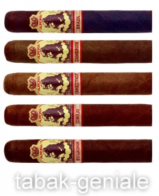 La Aurora Connoisseur Selection 5 Robusto Zigarren