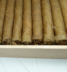 Porfina Wilde Cigarros Sumatra 50 Zigarren Holzkiste